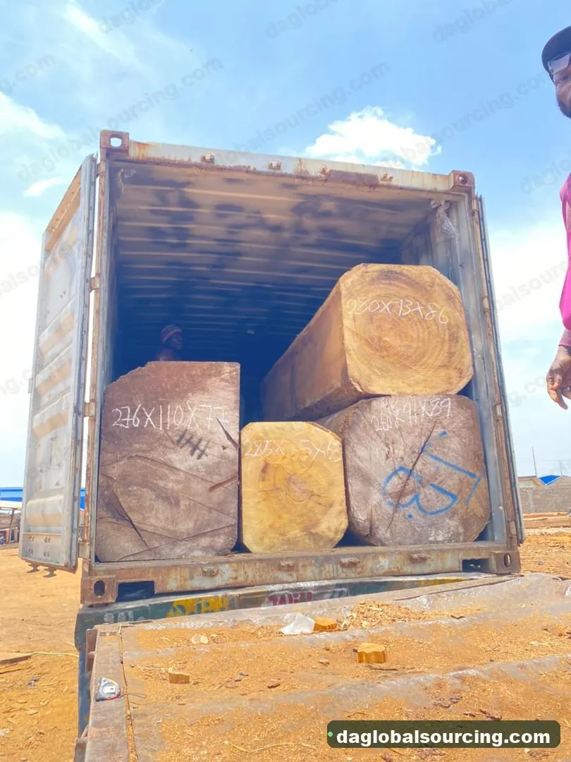 Iroko logs from Congo — goods a Vietnam buyer wants