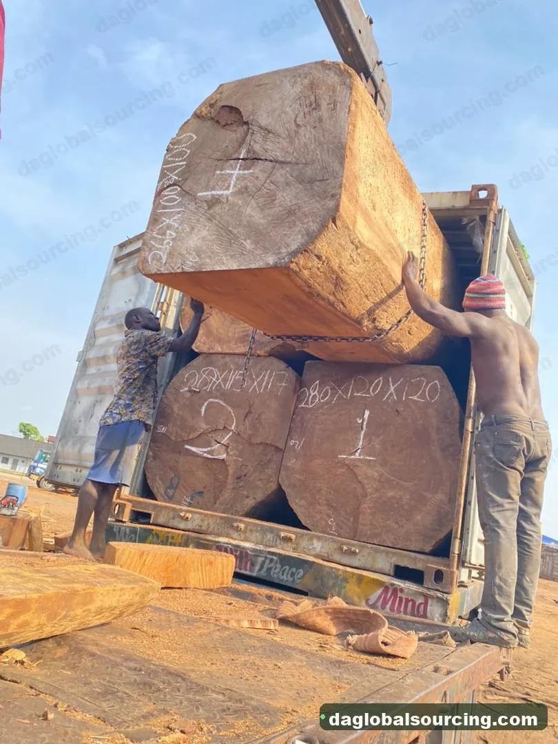 Iroko logs from Nigeria — goods a Vietnam buyer wants