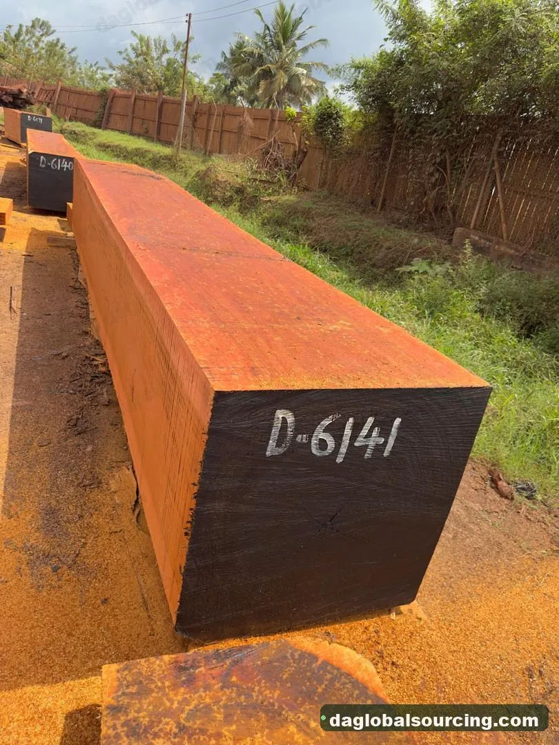 Okan squared from Cameroon — goods a Vietnam buyer wants