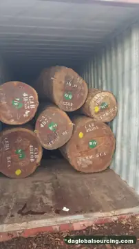 Vietnam Buyer Needs Pachyloba (Afzelia) Logs From Cameroon