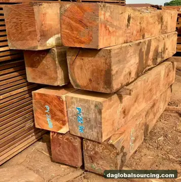 Vietnam Buyer Needs Pachyloba (Afzelia) Squared Wood From Cameroon