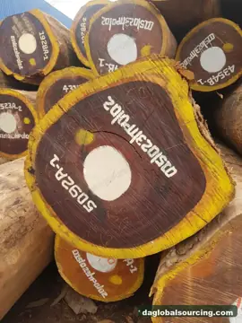 Vietnam Buyer Needs Padouk Logs From Cameroon