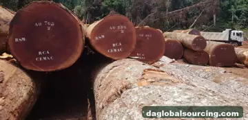 Vietnam Buyer Needs Sapelli (Sapele) Logs From Cameroon