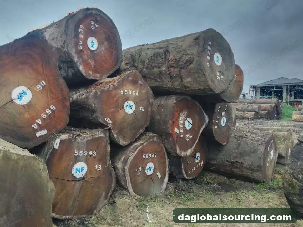 Tali (Ironwood) logs from Cameroon — goods a Vietnam buyer wants