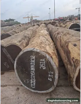 Vietnam Buyer Needs Wenge Logs From Congo