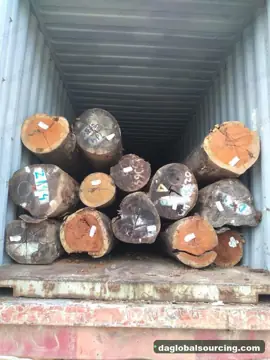 Wpl from Suriname — real goods photo 2