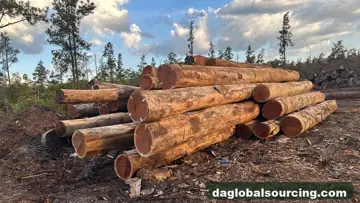 Wpl from Suriname — real goods photo 3