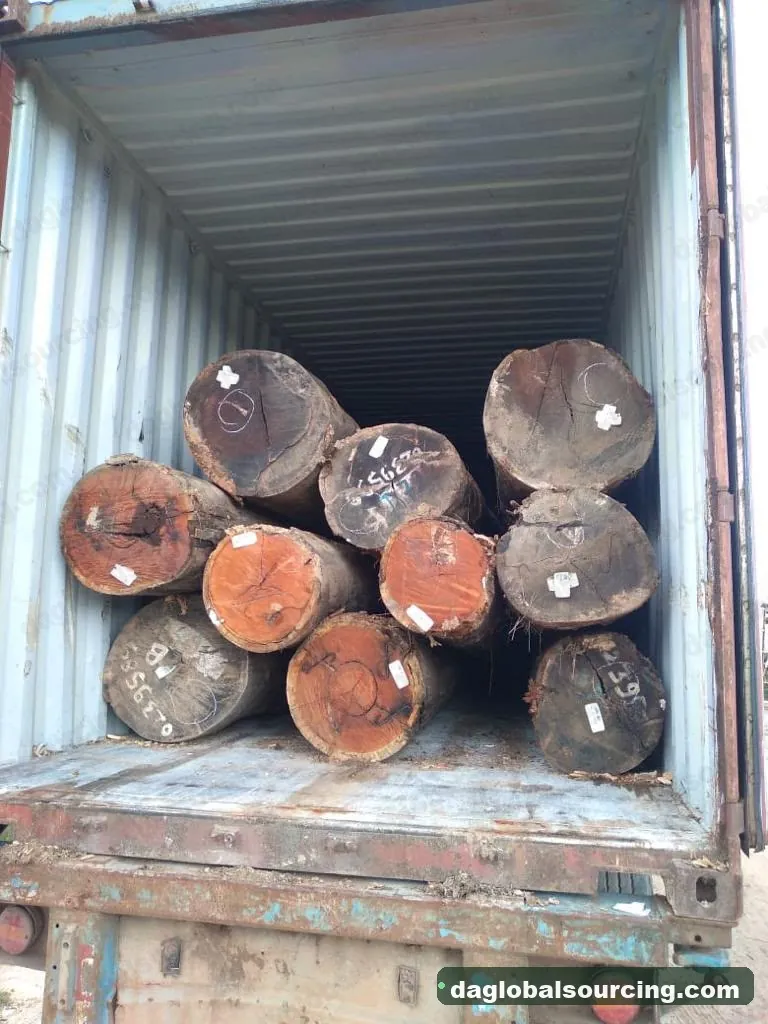 Wpl logs from Suriname — goods a Vietnam buyer wants