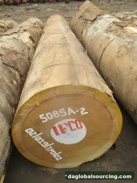 Vietnam Company Buys Bilinga Logs From Central African Republic