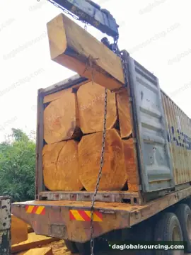 Bilinga from Cameroon — real goods photo 2