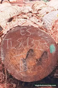 Essia from Congo — real goods photo 2