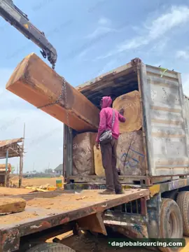 Vietnam Company Buys Iroko Logs From Cameroon