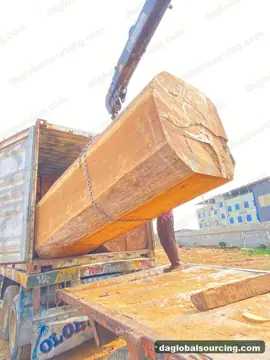 Vietnam Company Buys Iroko Logs From Nigeria