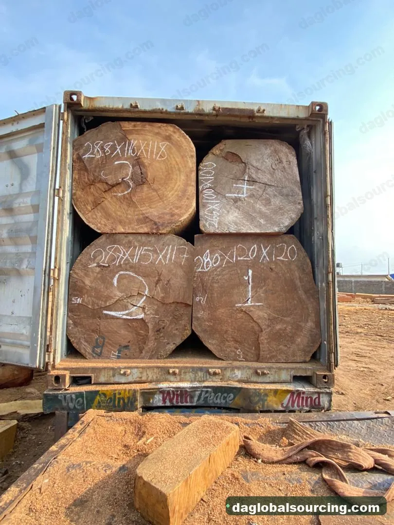Iroko squared from Congo — goods a Vietnam buyer wants