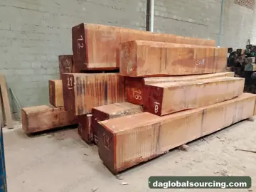 Vietnam Company Buys Jatoba (Paquio) Squared Wood From Bolivia