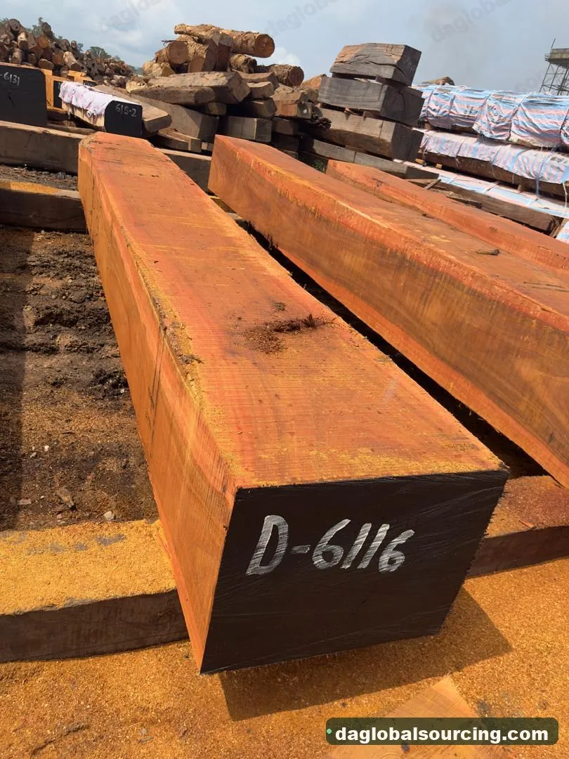 Okan squared from Cameroon — goods a Vietnam buyer wants