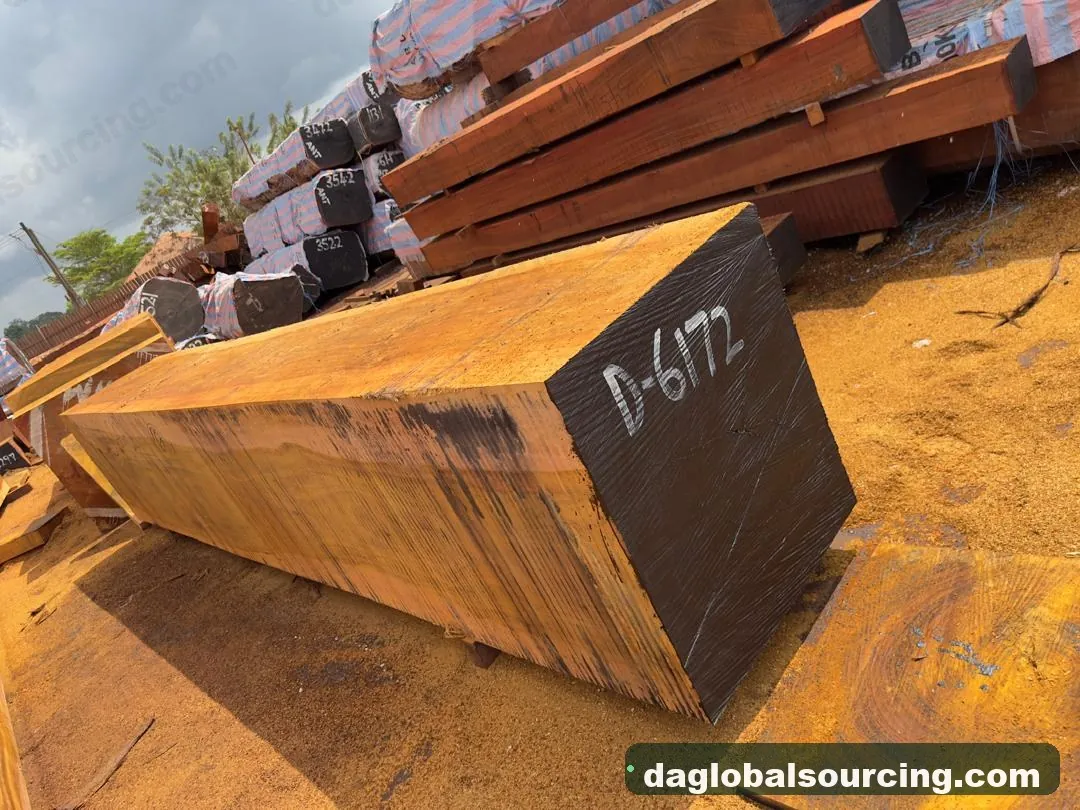 Okan squared from Congo — goods a Vietnam buyer wants