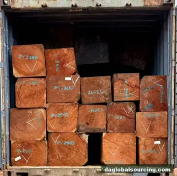Vietnam Company Buys Pachyloba (Afzelia) Squared Wood From Central African Republic