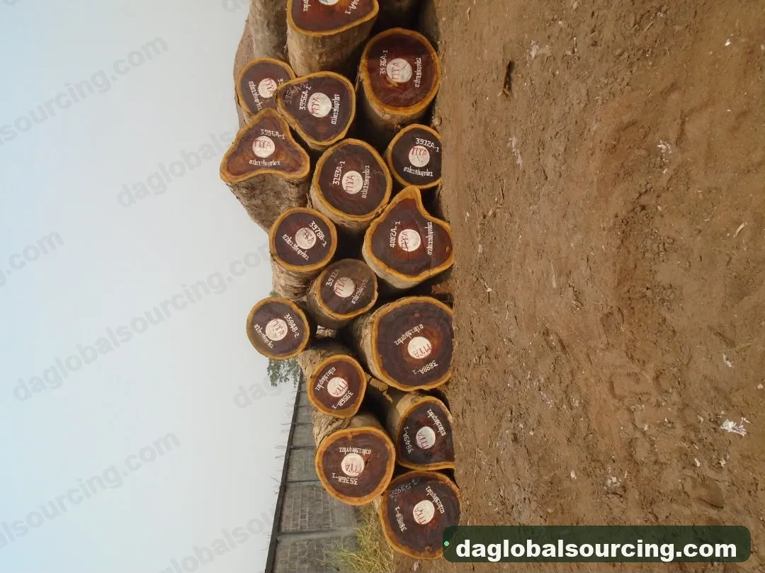 Padouk logs from Cameroon — goods a Vietnam buyer wants