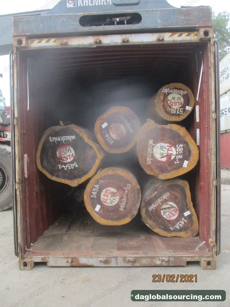 Padouk logs from Congo — goods a Vietnam buyer wants