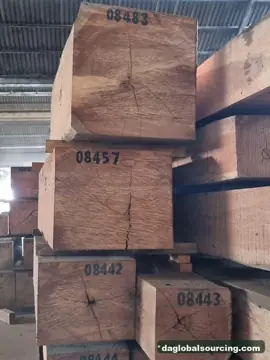 Tali (Ironwood) from Congo — real goods photo 2