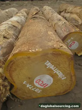 Bilinga from Cameroon — real goods photo 2