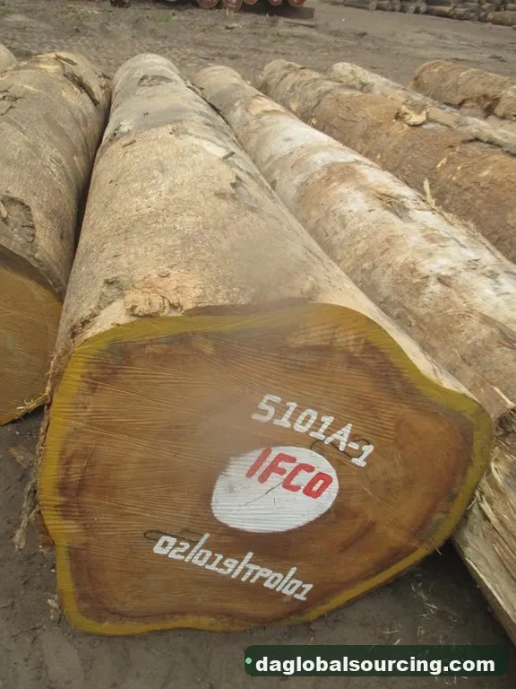 Bilinga logs from Cameroon — goods a Vietnam buyer wants
