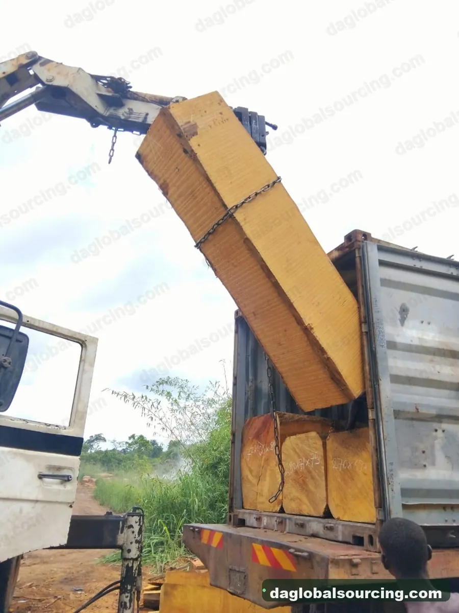 Bilinga squared from Cameroon — goods a Vietnam buyer wants