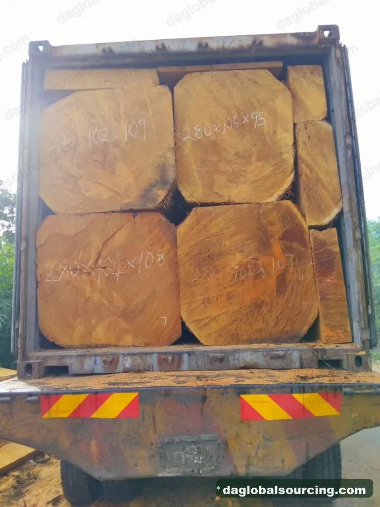 Bilinga squared from Congo — goods a Vietnam buyer wants