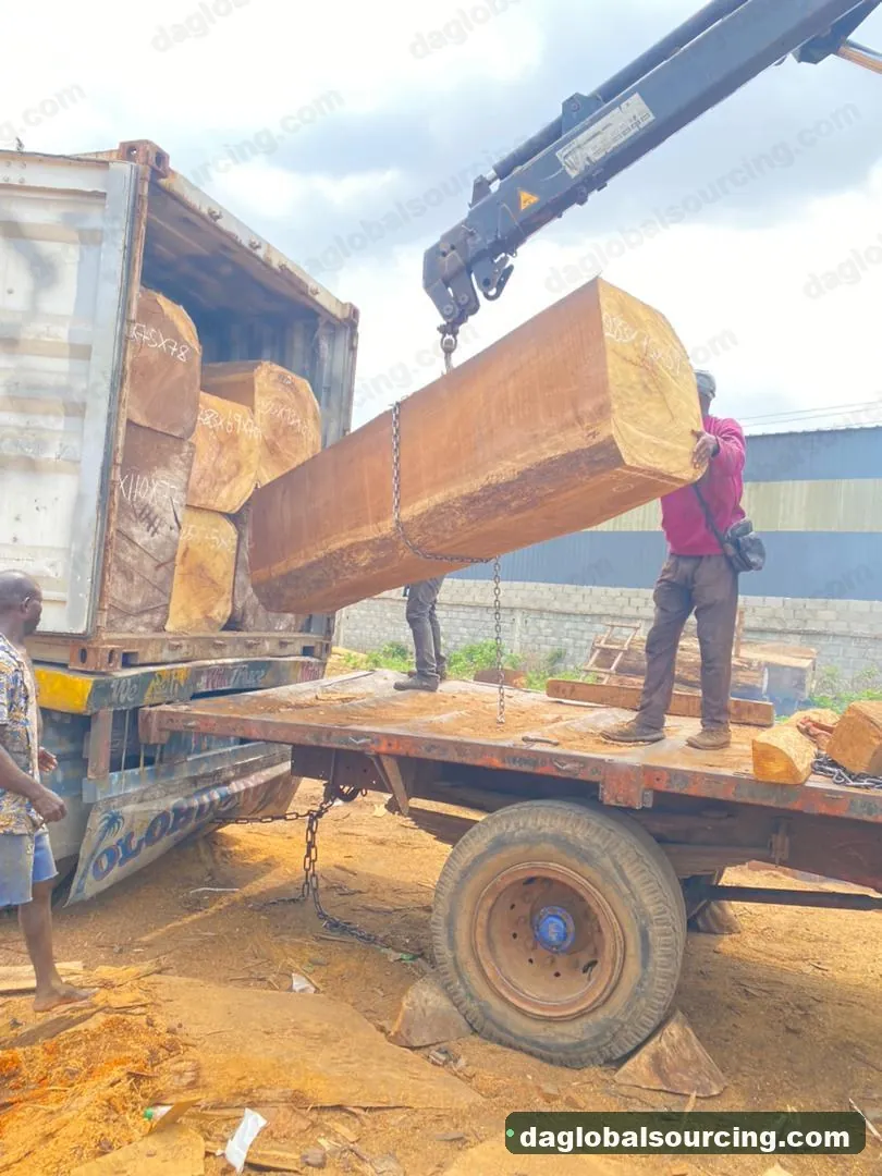 Iroko logs from Nigeria — goods a Vietnam buyer wants