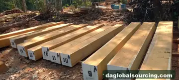 Wanted: Mashonate (Tulpay) Squared Wood From Peru - Monthly