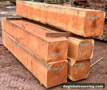 Wanted: Pachyloba (Afzelia) Squared Wood From Cameroon - Monthly