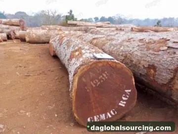 Wanted: Padouk Squared Wood From Cameroon - Monthly