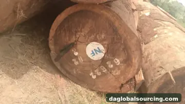 Wanted: Tali (Ironwood) Logs From Cameroon - Monthly