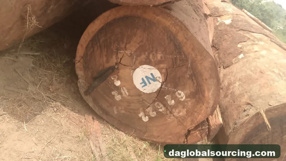 Tali (Ironwood) logs from Cameroon — goods a Vietnam buyer wants