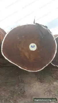 Tali (Ironwood) from Cameroon — real goods photo 2