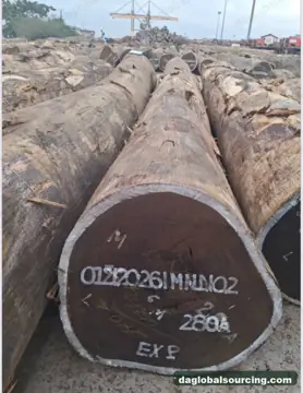 Wenge from Congo — real goods photo 3