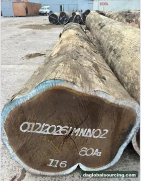 Wenge from Congo — real goods photo 2