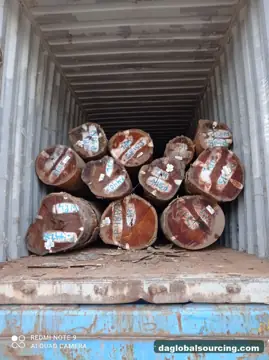 Wanted: WPL (Witte Pinto Locus) Logs From Suriname - Monthly