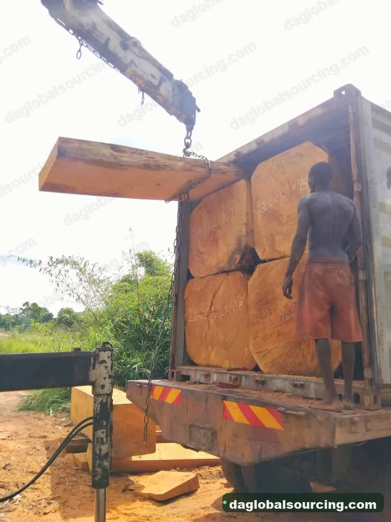 Bilinga squared from Nigeria — goods a Vietnam buyer wants