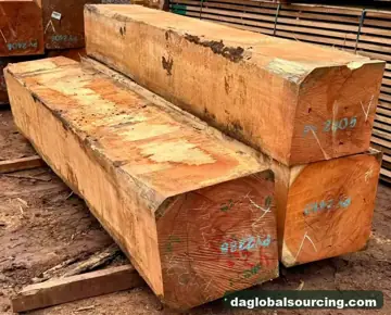 We Buy Doussie (Afzelia) Squared Wood From Central African Republic Every Month
