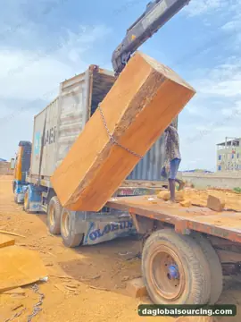 We Buy Iroko Logs From Cameroon Every Month
