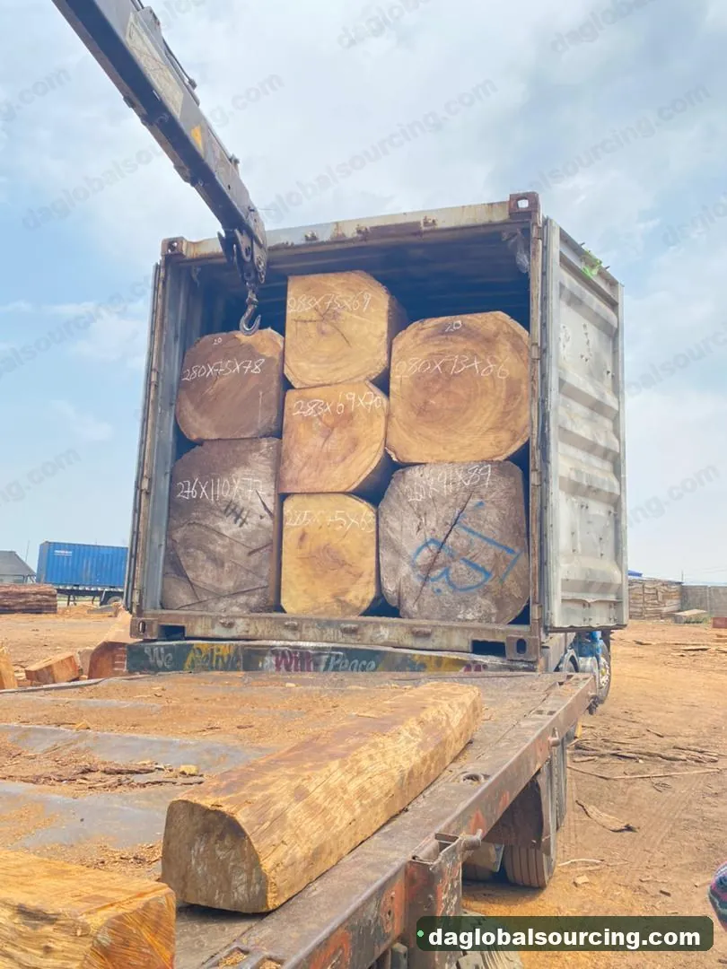Iroko squared from Congo — goods a Vietnam buyer wants