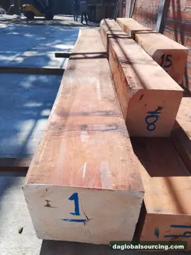 We Buy Jatoba (Paquio) Squared Wood From Bolivia Every Month