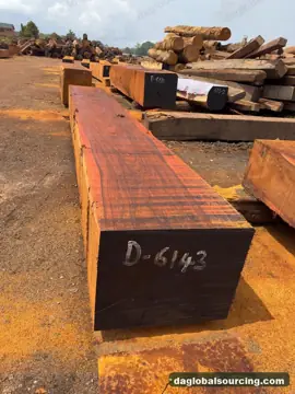 We Buy Okan (Denya) Squared Wood From Cameroon Every Month
