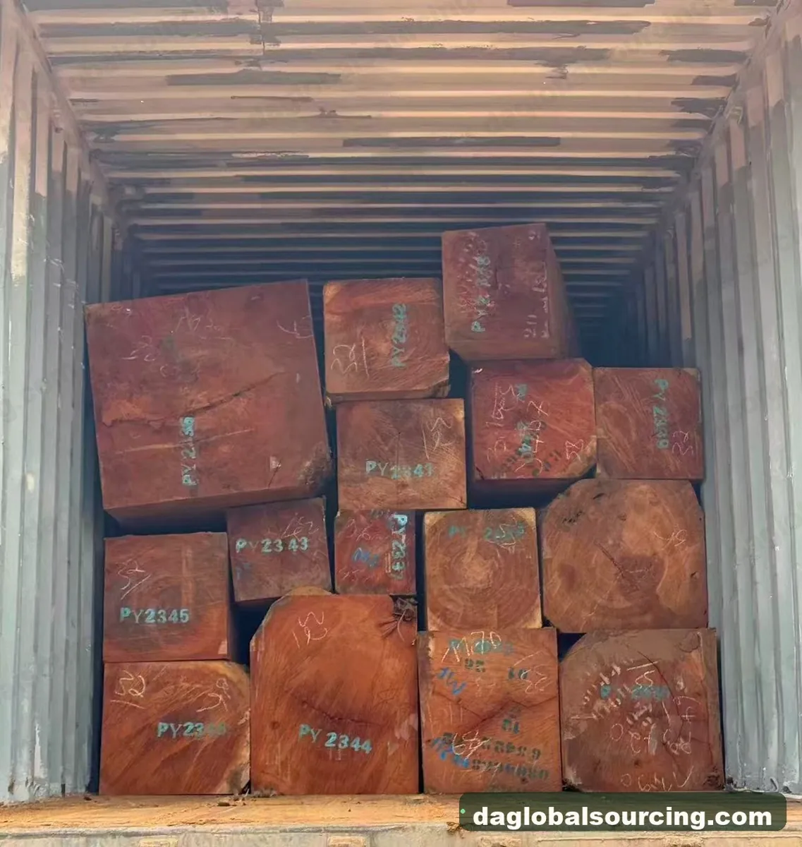 Pachyloba squared from Cameroon — goods a Vietnam buyer wants