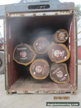 Padouk from Congo — real goods photo 2