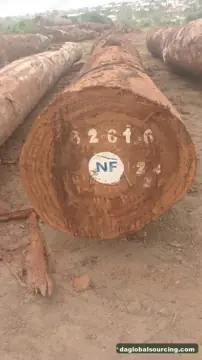 Tali (Ironwood) from Cameroon — real goods photo 2