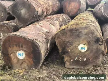 We Buy Tali (Ironwood) Logs From Congo Every Month