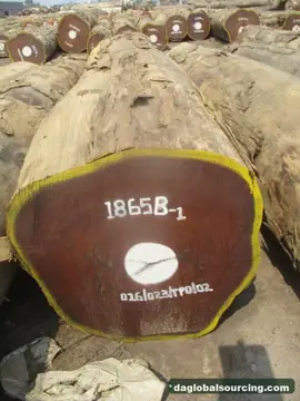 Aformosia from Congo — real goods photo 3